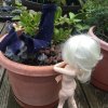 FB1BE292-985A-4FDD-B326-8B961CB9A908.jpeg