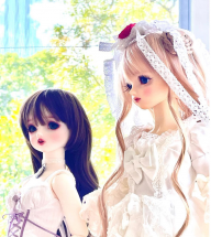 envy.dollstagram