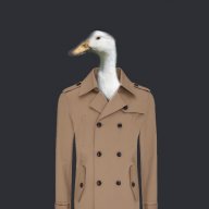 ADuckInATrenchCoat