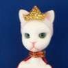 Cattwo