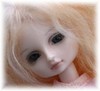 Aeilia