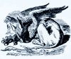 ChilmarkGryphon