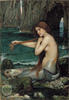Landlocked Mermaid