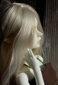 persimmon_27