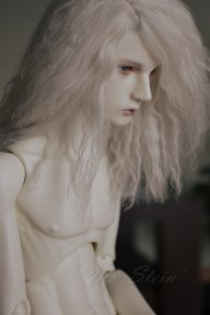 msstein