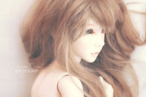 DreamSight