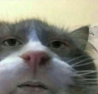CallMeOniisan