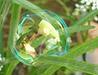 SoapBubbles