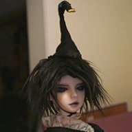 dollhausen