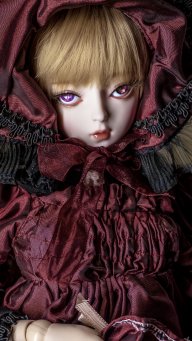 absolutvenus