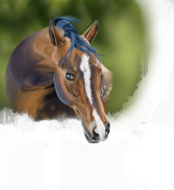 KiliaArts