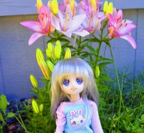 samlynn364