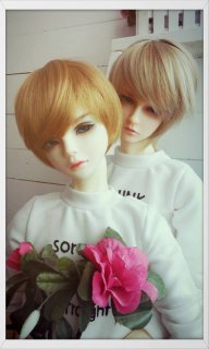 wu_narcissus