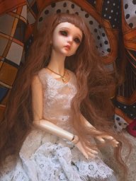 dollydisaster