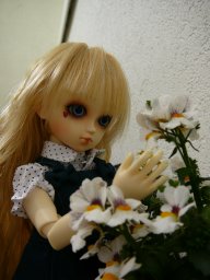 Pina