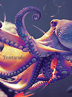 Tentacule