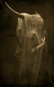 Lady_Xandria