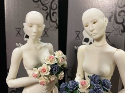 Sin's Wife