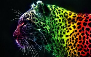 Magical Colors