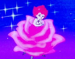 Madame Rosebud