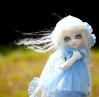 dollipuki