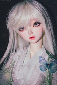 skyadmirer