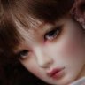 Fashiondollie