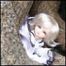 Chianne