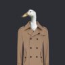 ADuckInATrenchCoat