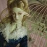Lyssandra