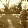solitary_mushroom
