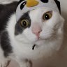 nekomode13