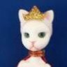 Cattwo
