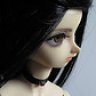 linnyp