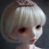 Sylphide