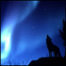 mosaicwolf
