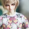 daniquine