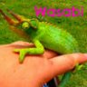 JustLikeWasabi