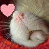 frillyrattie