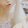 elshe