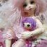 dollybusiness