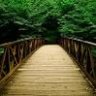 BuildingBridges