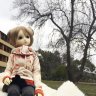 Anivyl