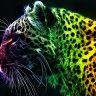 Magical Colors