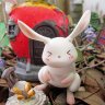 RabbidBunnies