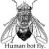 Botflybaby