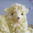 LambCoffin