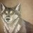 DireWolf