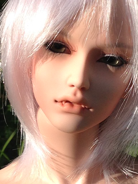 [​IMG]