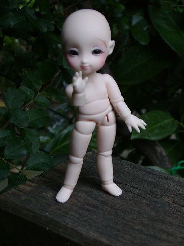[​IMG]